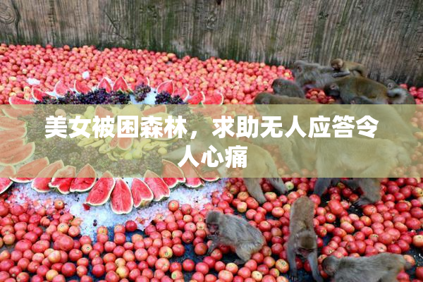 美女被困森林，求助无人应答令人心痛