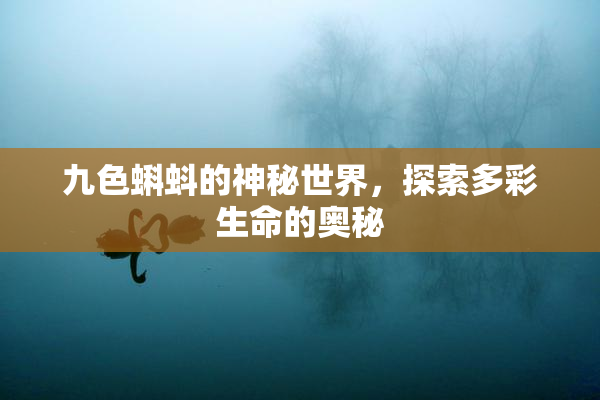 九色蝌蚪的神秘世界，探索多彩生命的奥秘