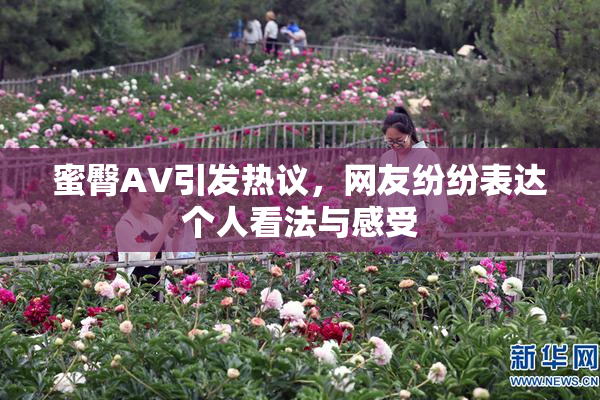 蜜臀AV引发热议，网友纷纷表达个人看法与感受