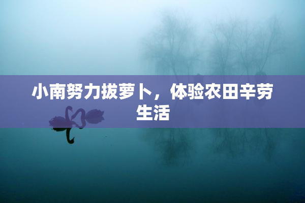 小南努力拔萝卜，体验农田辛劳生活
