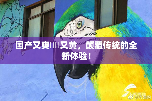 国产又爽❌‌又黄，颠覆传统的全新体验！