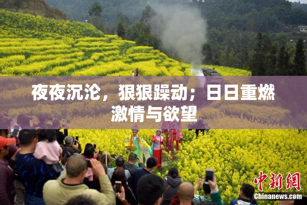夜夜沉沦，狠狠躁动；日日重燃激情与欲望