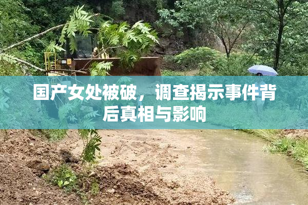 国产女处被破，调查揭示事件背后真相与影响