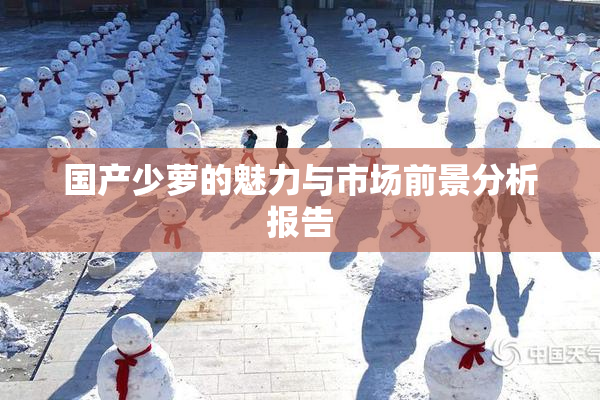 国产少萝的魅力与市场前景分析报告