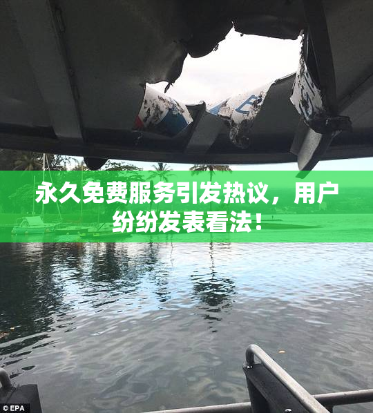 永久免费服务引发热议，用户纷纷发表看法！