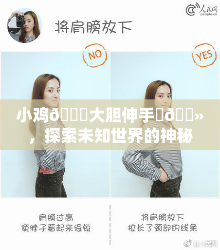 小鸡🐔大胆伸手‌🐻，探索未知世界的神秘之旅