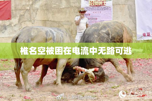 椎名空被困在电流中无路可逃
