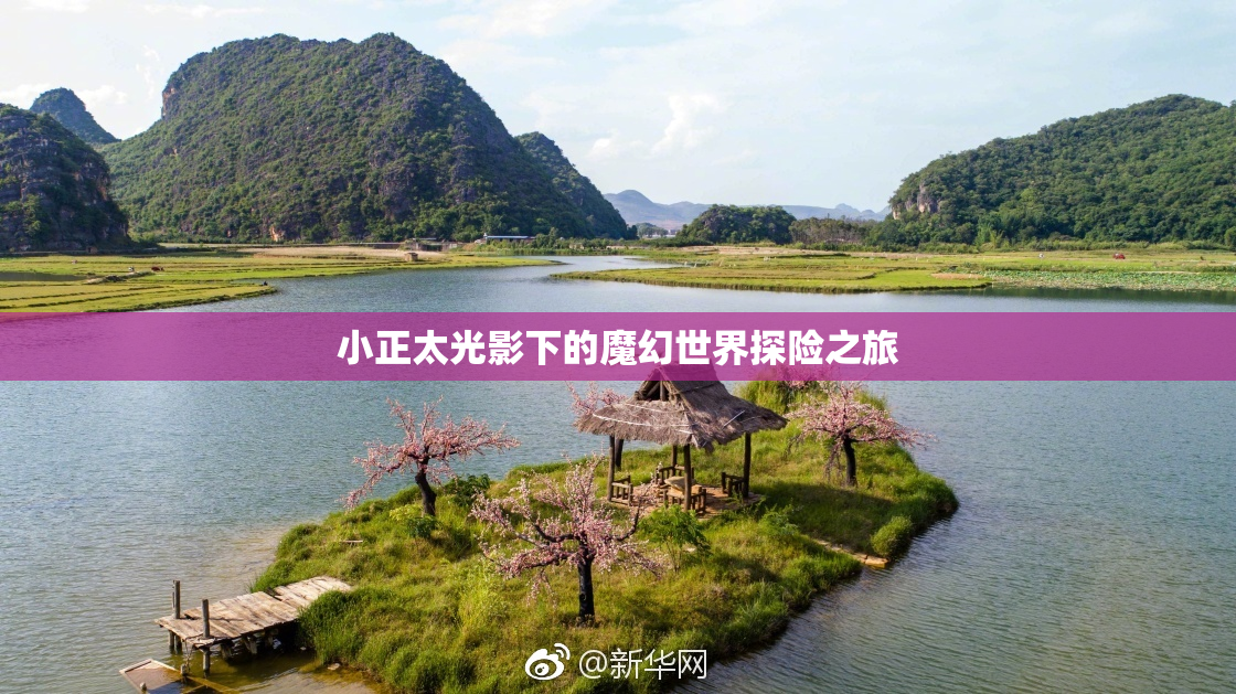 小正太光影下的魔幻世界探险之旅