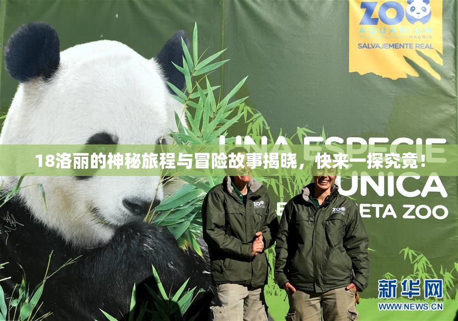 18洛丽的神秘旅程与冒险故事揭晓，快来一探究竟！