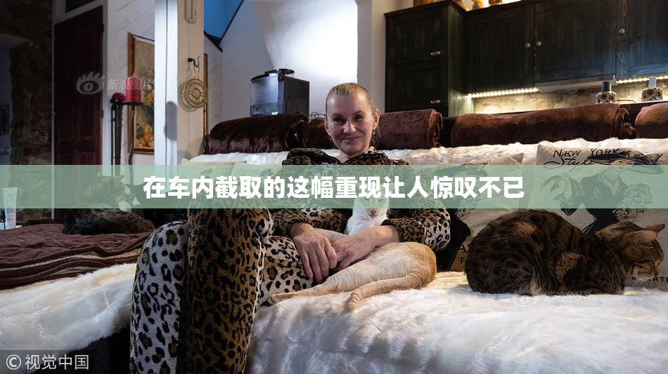 在车内截取的这幅重现让人惊叹不已