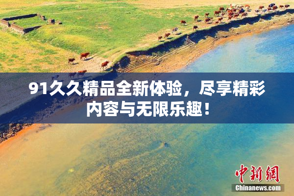 91久久精品全新体验，尽享精彩内容与无限乐趣！