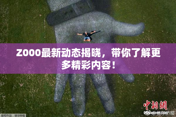 Z000最新动态揭晓，带你了解更多精彩内容！