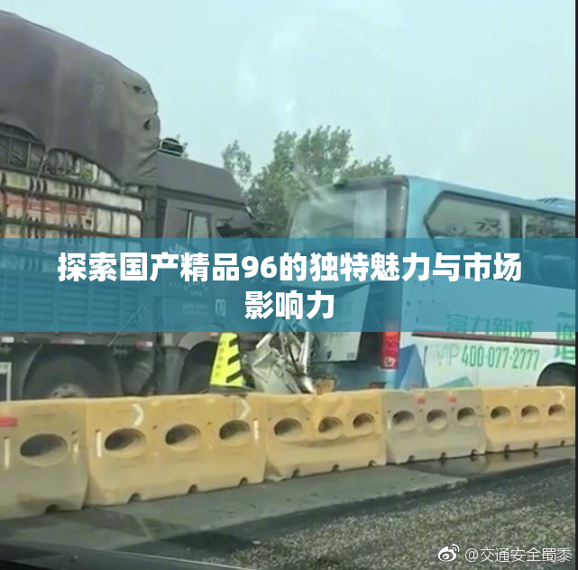 探索国产精品96的独特魅力与市场影响力