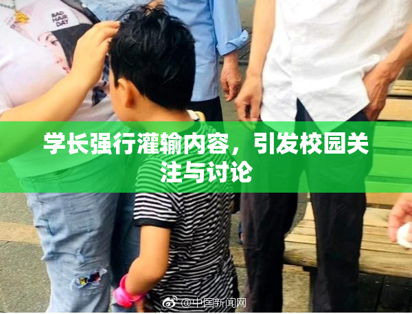 学长强行灌输内容，引发校园关注与讨论