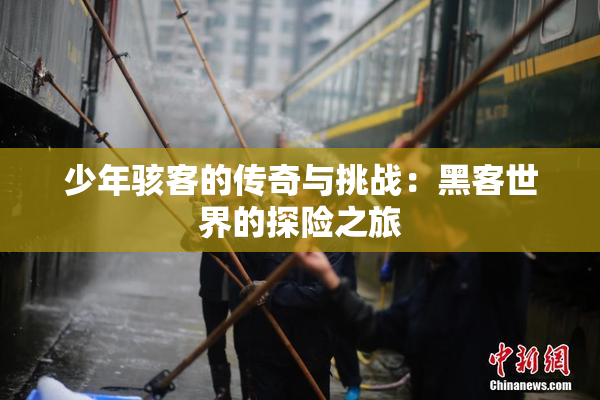 少年骇客的传奇与挑战：黑客世界的探险之旅