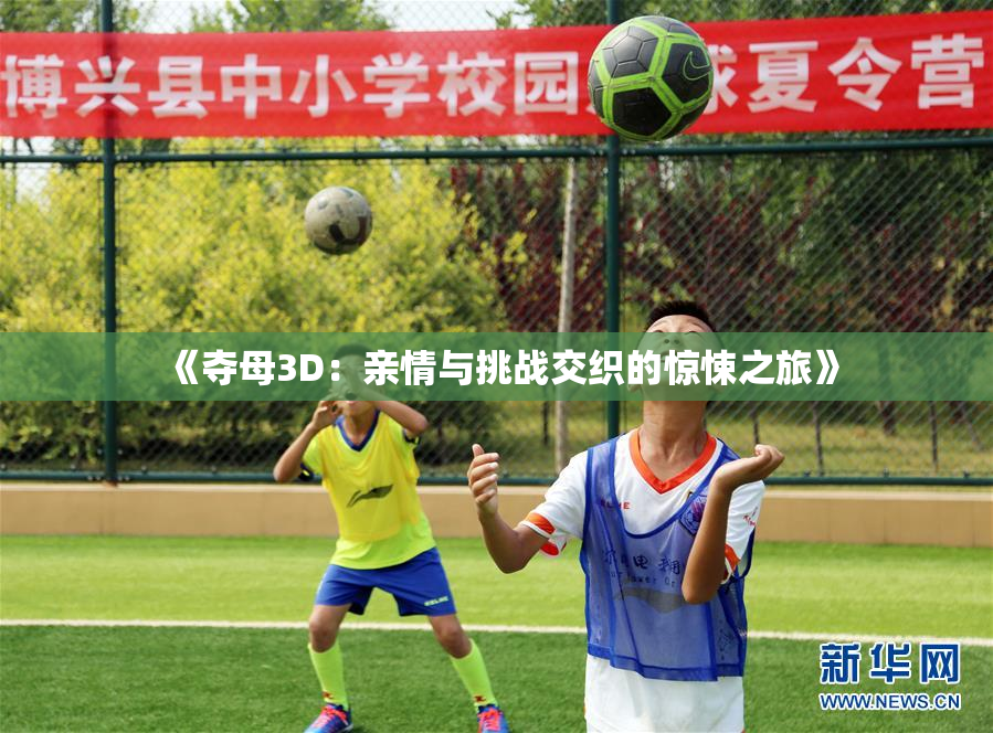 《夺母3D：亲情与挑战交织的惊悚之旅》