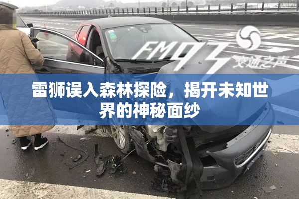 雷狮误入森林探险，揭开未知世界的神秘面纱