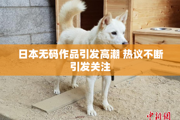 日本无码作品引发高潮 热议不断引发关注