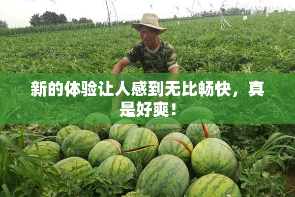 新的体验让人感到无比畅快，真是好爽！