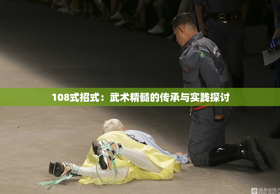 108式招式：武术精髓的传承与实践探讨