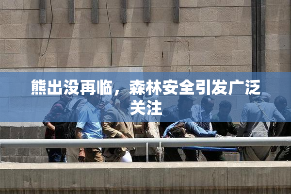 熊出没再临，森林安全引发广泛关注