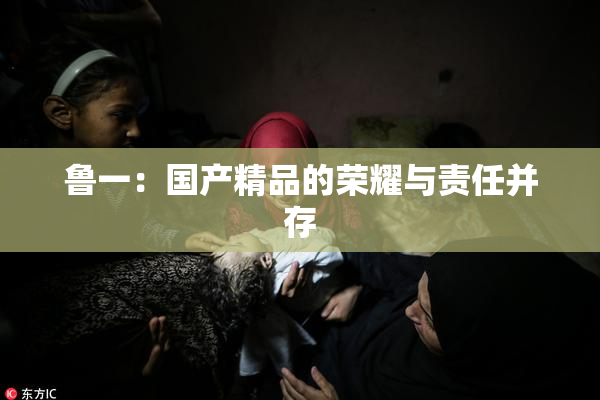 鲁一：国产精品的荣耀与责任并存