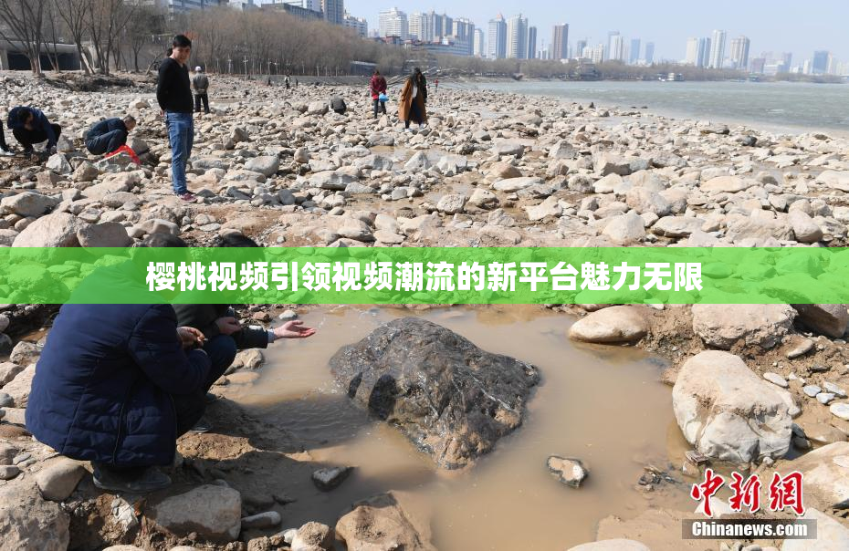 樱桃视频引领视频潮流的新平台魅力无限