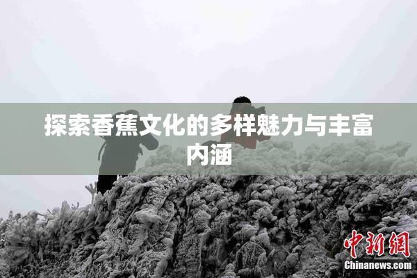 探索香蕉文化的多样魅力与丰富内涵