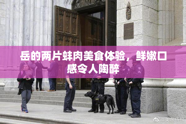 岳的两片蚌肉美食体验，鲜嫩口感令人陶醉