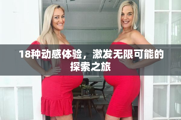 18种动感体验，激发无限可能的探索之旅