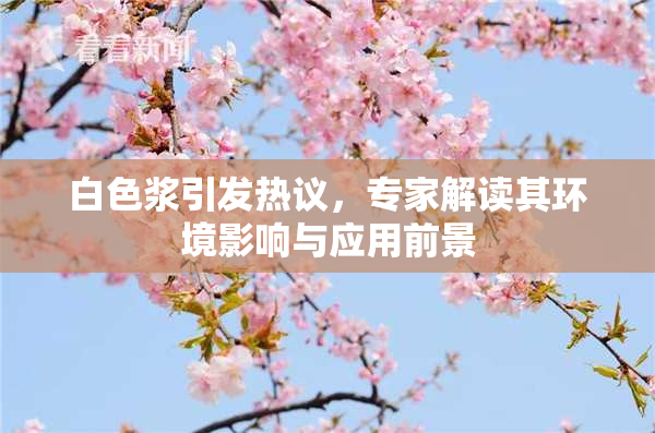 白色浆引发热议，专家解读其环境影响与应用前景