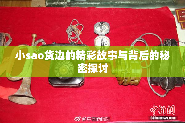 小sao货边的精彩故事与背后的秘密探讨