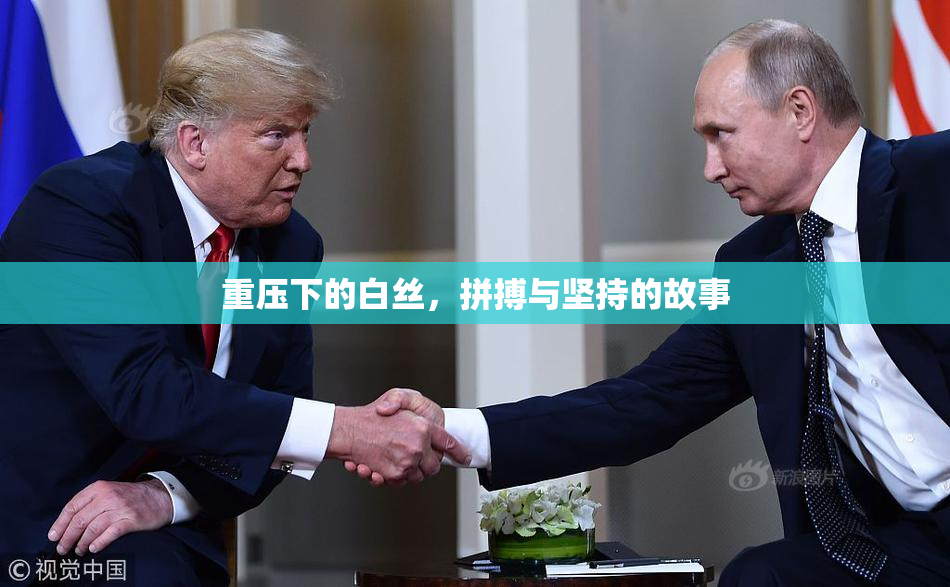 重压下的白丝，拼搏与坚持的故事