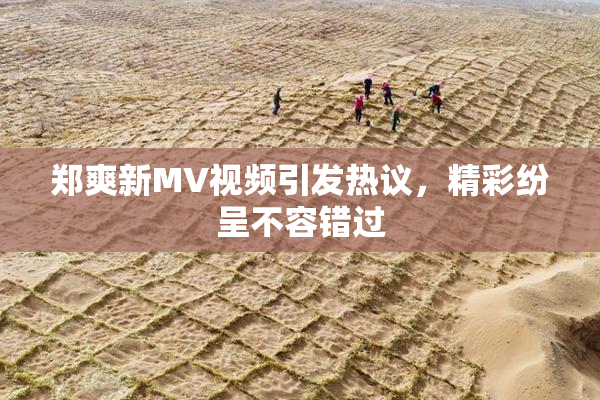 郑爽新MV视频引发热议，精彩纷呈不容错过