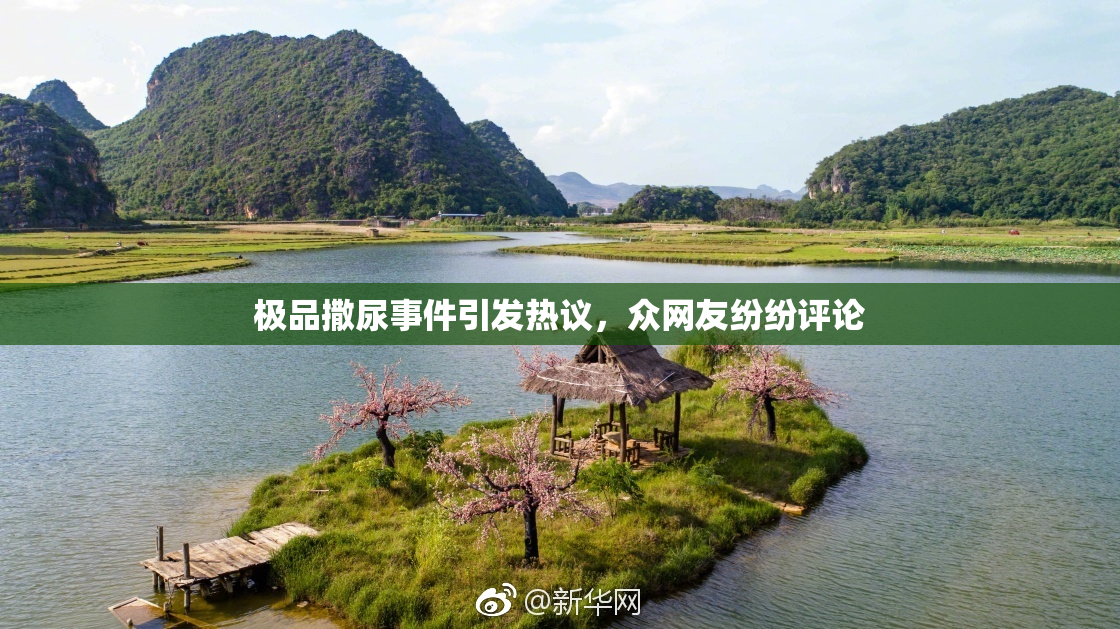 极品撒尿事件引发热议，众网友纷纷评论