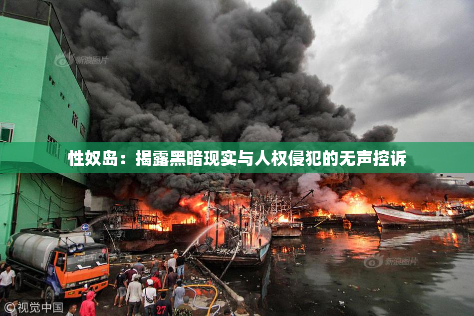 性奴岛：揭露黑暗现实与人权侵犯的无声控诉