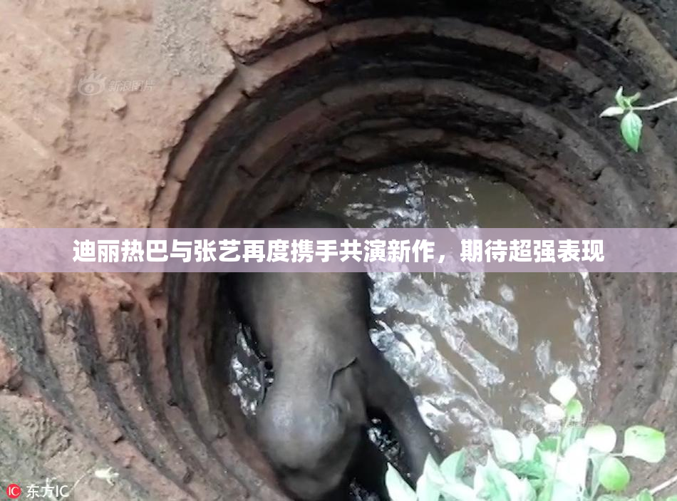 迪丽热巴与张艺再度携手共演新作，期待超强表现