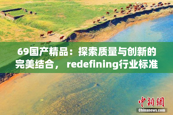 69国产精品：探索质量与创新的完美结合， redefining行业标准。