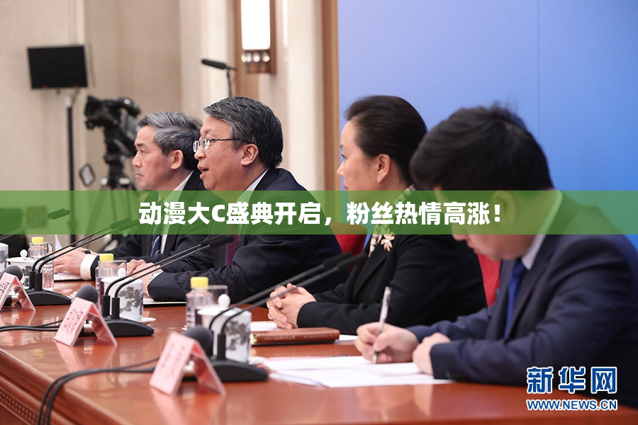 动漫大C盛典开启，粉丝热情高涨！