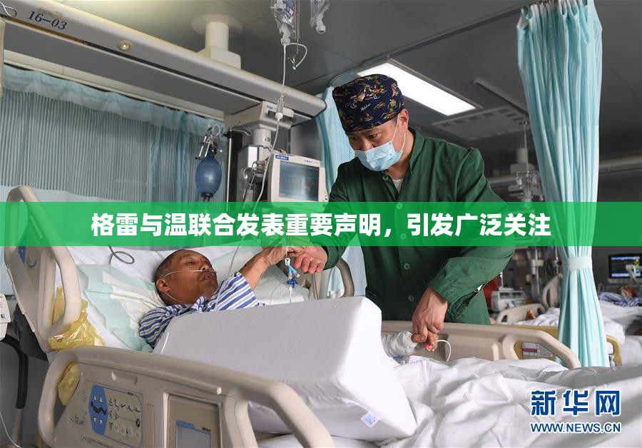 格雷与温联合发表重要声明，引发广泛关注