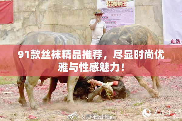 91款丝袜精品推荐，尽显时尚优雅与性感魅力！