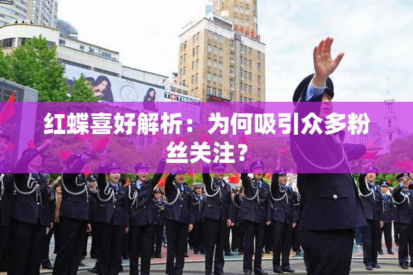 红蝶喜好解析：为何吸引众多粉丝关注？