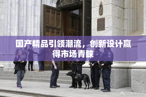 国产精品引领潮流，创新设计赢得市场青睐
