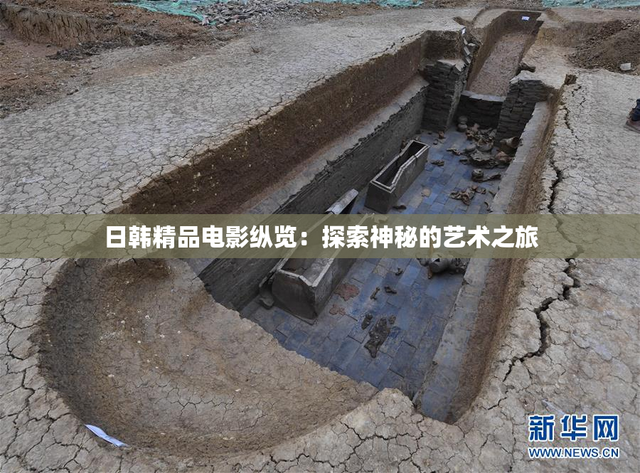 日韩精品电影纵览：探索神秘的艺术之旅