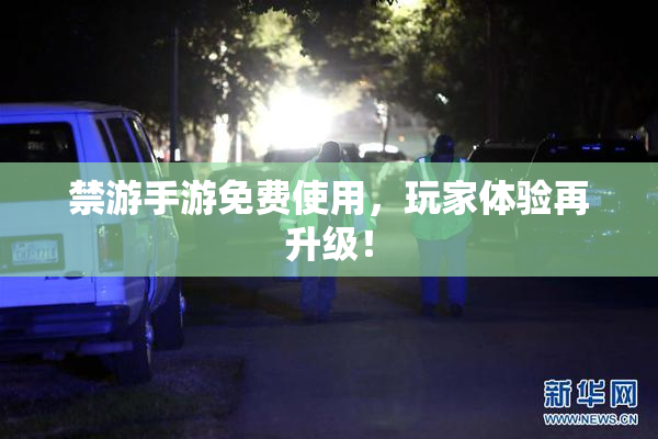 禁游手游免费使用，玩家体验再升级！