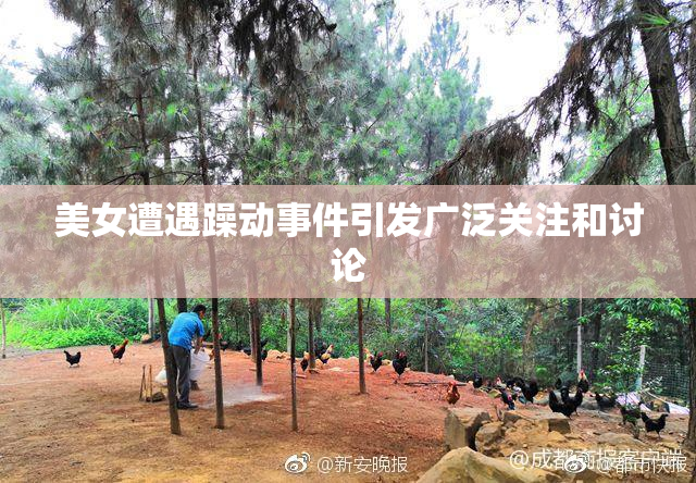 美女遭遇躁动事件引发广泛关注和讨论