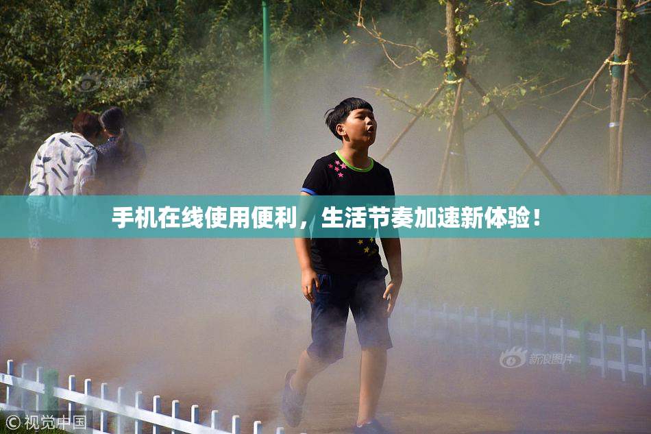 手机在线使用便利，生活节奏加速新体验！