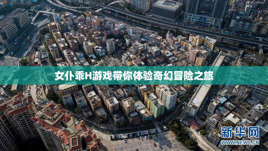 女仆乖H游戏带你体验奇幻冒险之旅