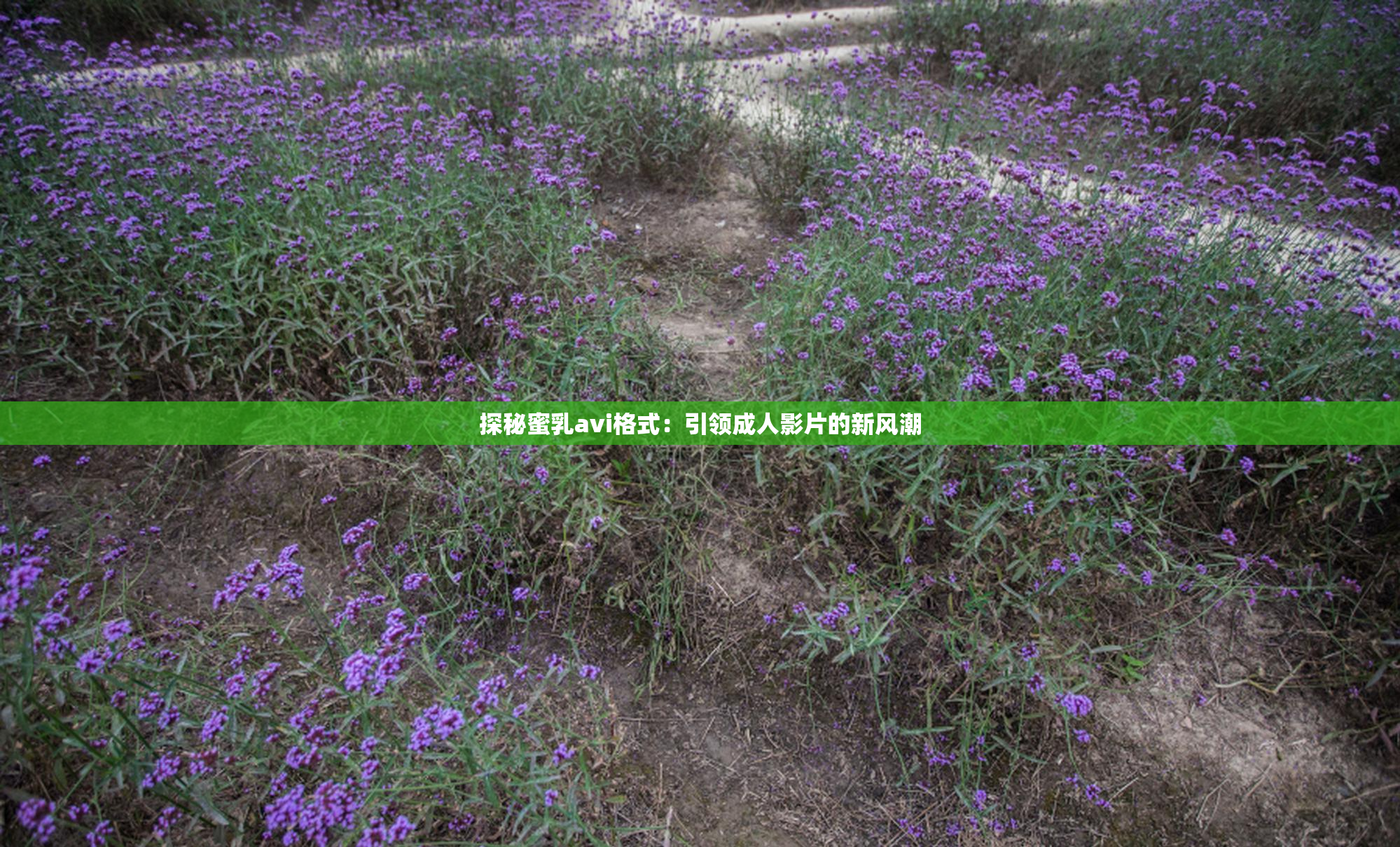 探秘蜜乳avi格式：引领成人影片的新风潮