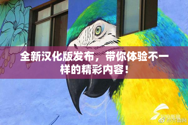 全新汉化版发布，带你体验不一样的精彩内容！